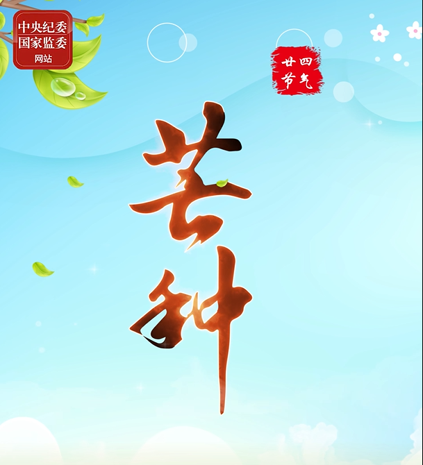 特别策划 | 今日，芒种
