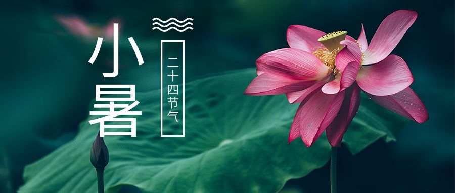 特别策划 | 今日，小暑