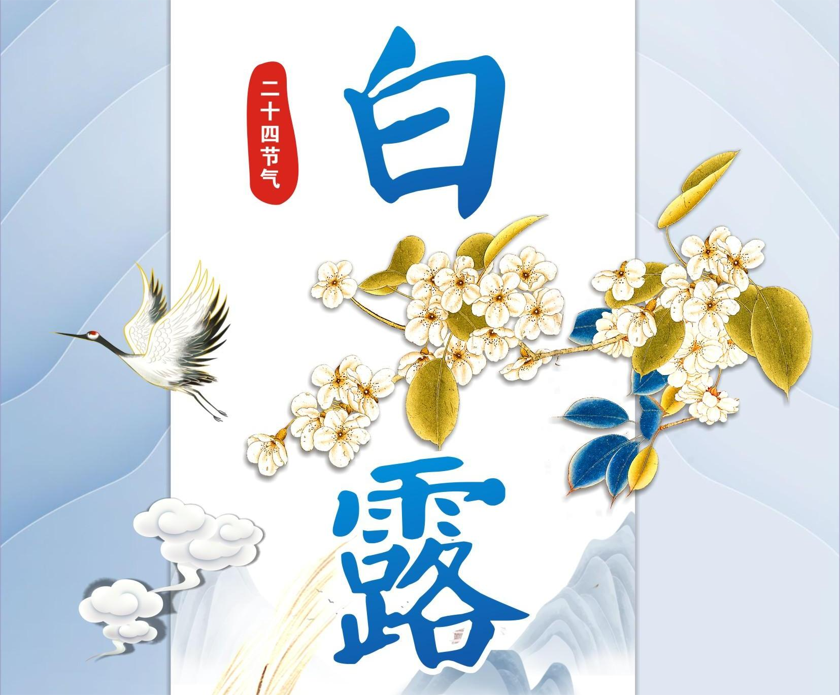 长图丨白露
