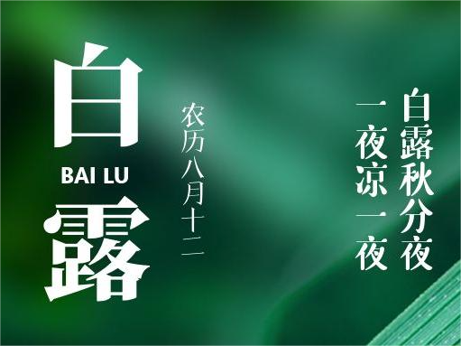 特别策划丨今日，白露