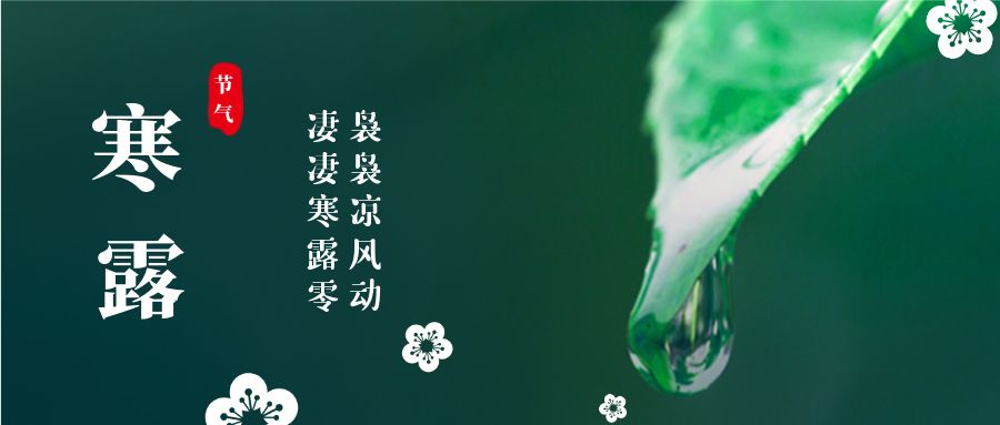 特别策划丨寒露