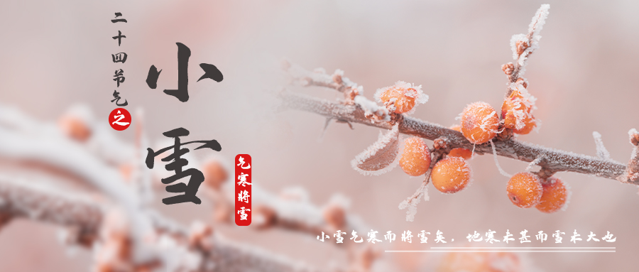特别策划丨小雪
