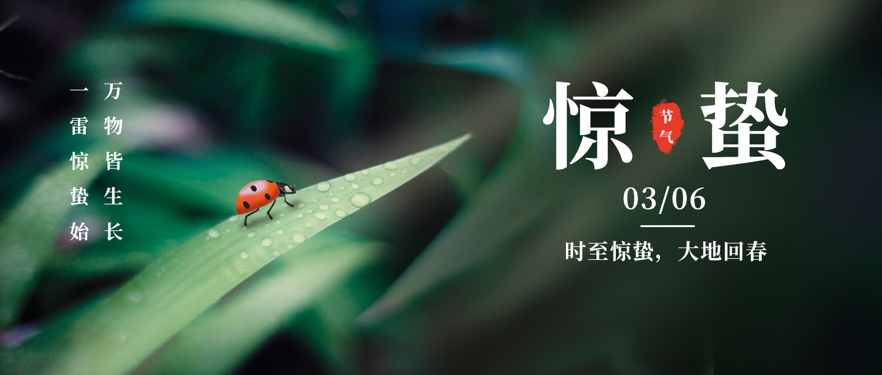 特别策划丨今日，惊蛰