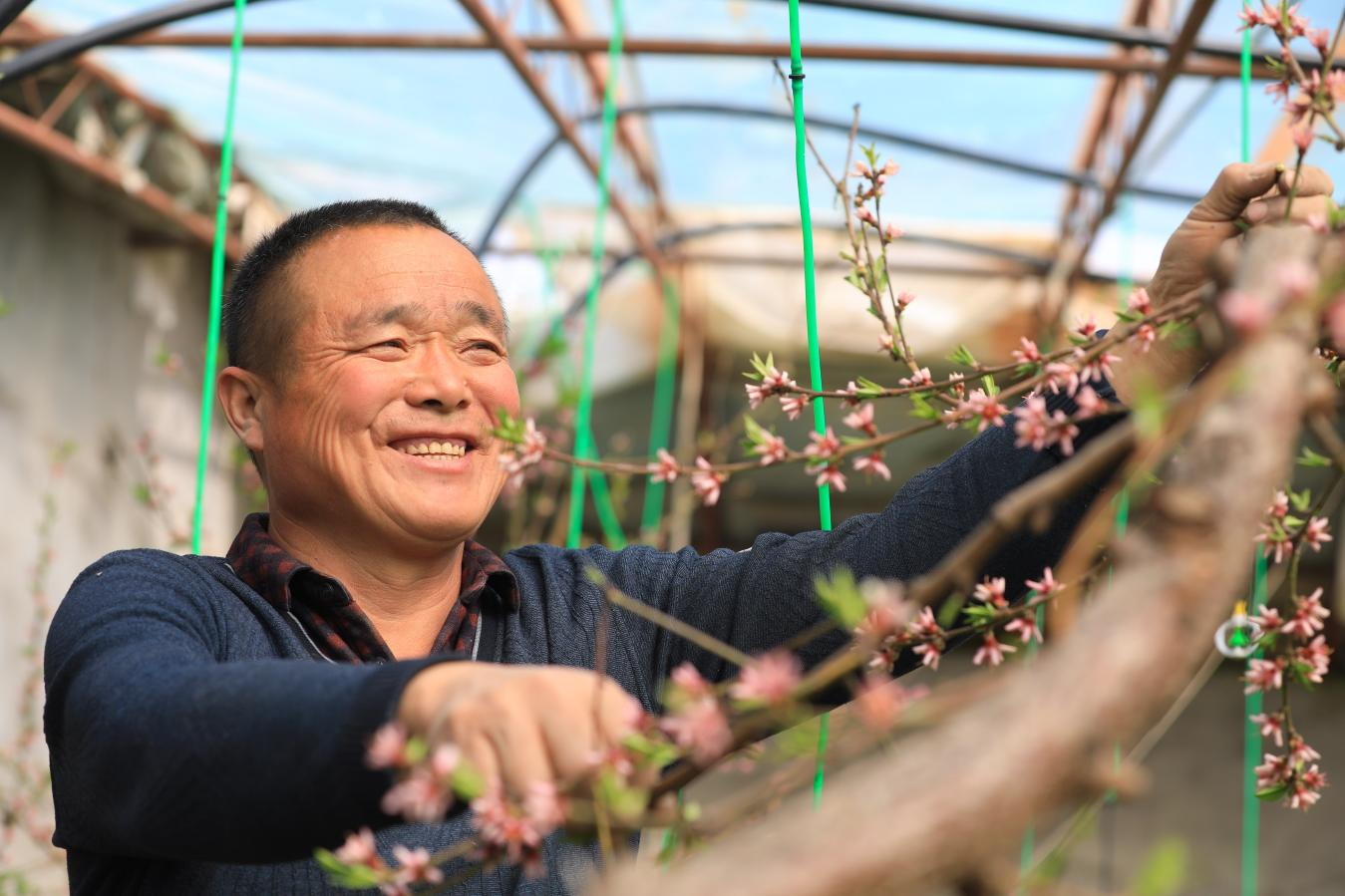 镜头丨 春到人间草木知
