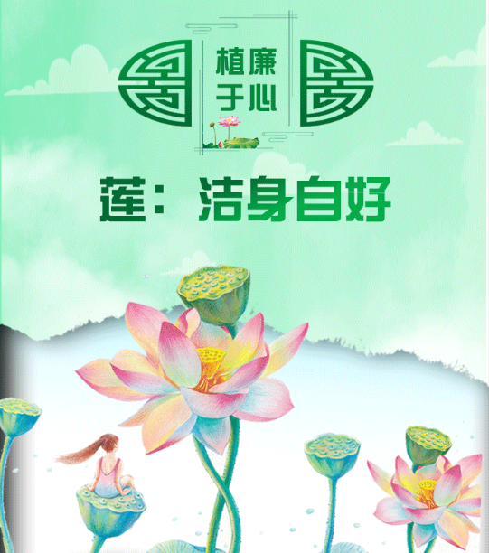 植廉于心丨莲：洁身自好