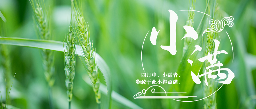 特别策划丨今日，小满
