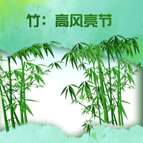 植廉于心丨竹：高风亮节