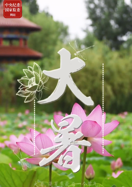 特别策划丨今日，大暑