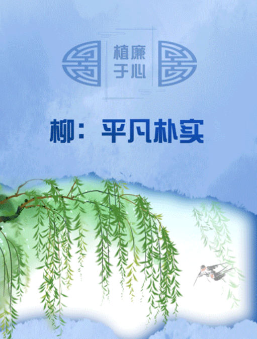 植廉于心丨柳：平凡朴实