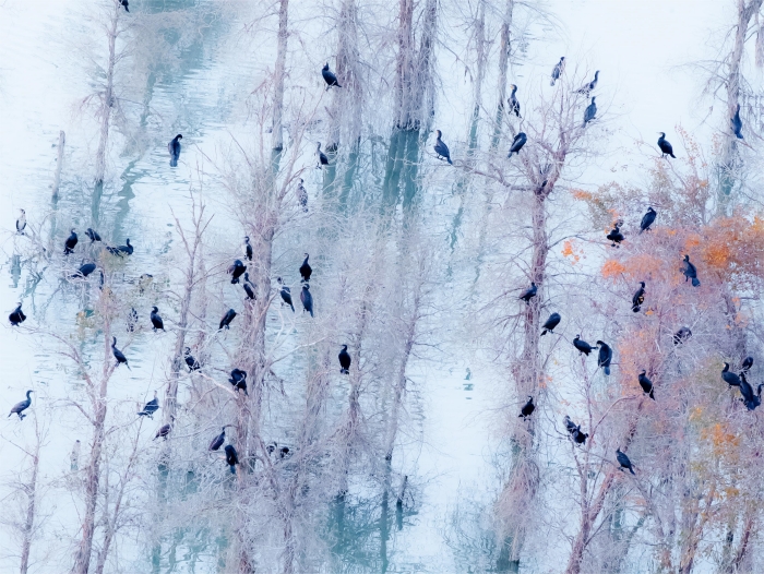二十四节气丨今日小雪