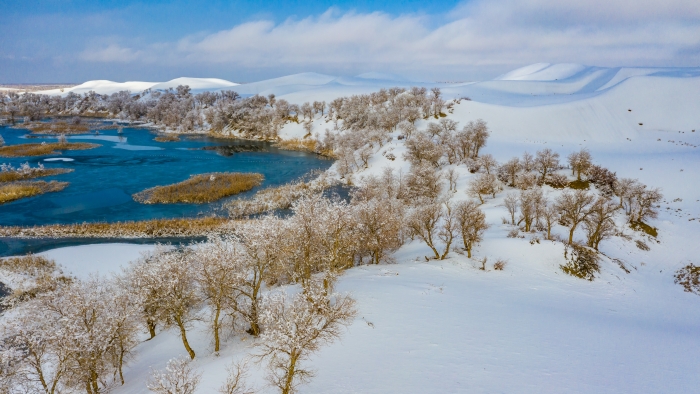 镜头丨雪中观景