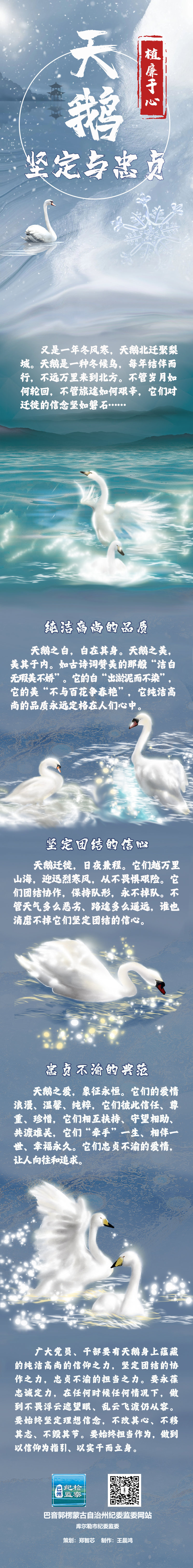 植廉于心丨天鹅：坚定与忠贞