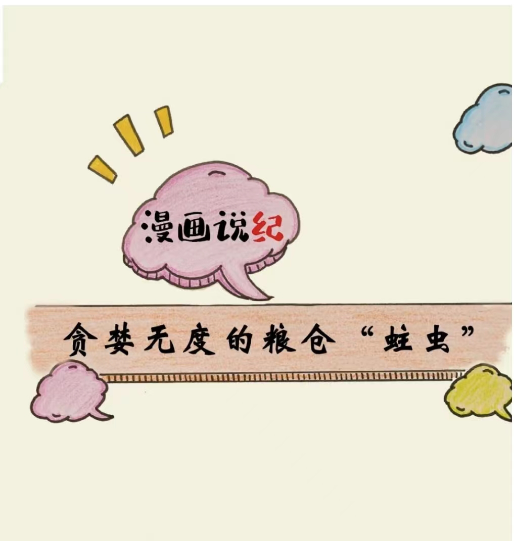漫画说纪 | 贪婪无度的粮仓“蛀虫”