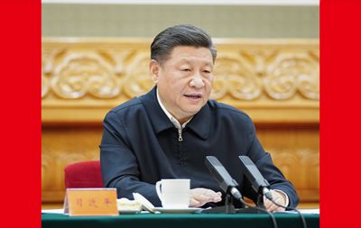 习近平：毫不放松抓紧抓实抓细防控工作 统筹做好经济社会发展各项工作