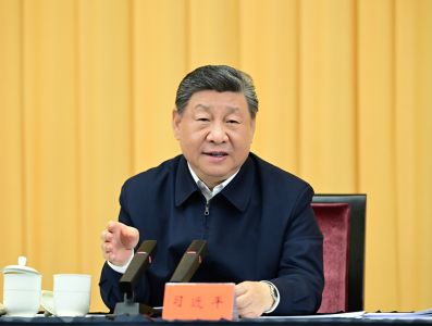习近平同莫桑比克总统查波会谈