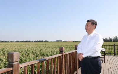 习近平赴吉林考察调研