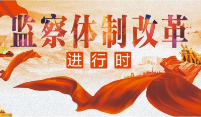 十三届全国人大常委会第一次会议在京举行 栗战书主持并讲话 会议表决任命了国家监察委员会副主任和国家监察