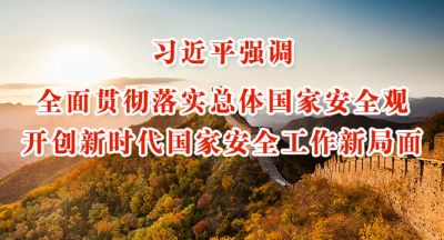 全面贯彻落实总体国家安全观 开创新时代国家安全工作新局面