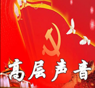 中共中央国务院举行春节团拜会 习近平发表讲话